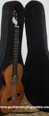 estuche liviano.para guitarra vista abierto
